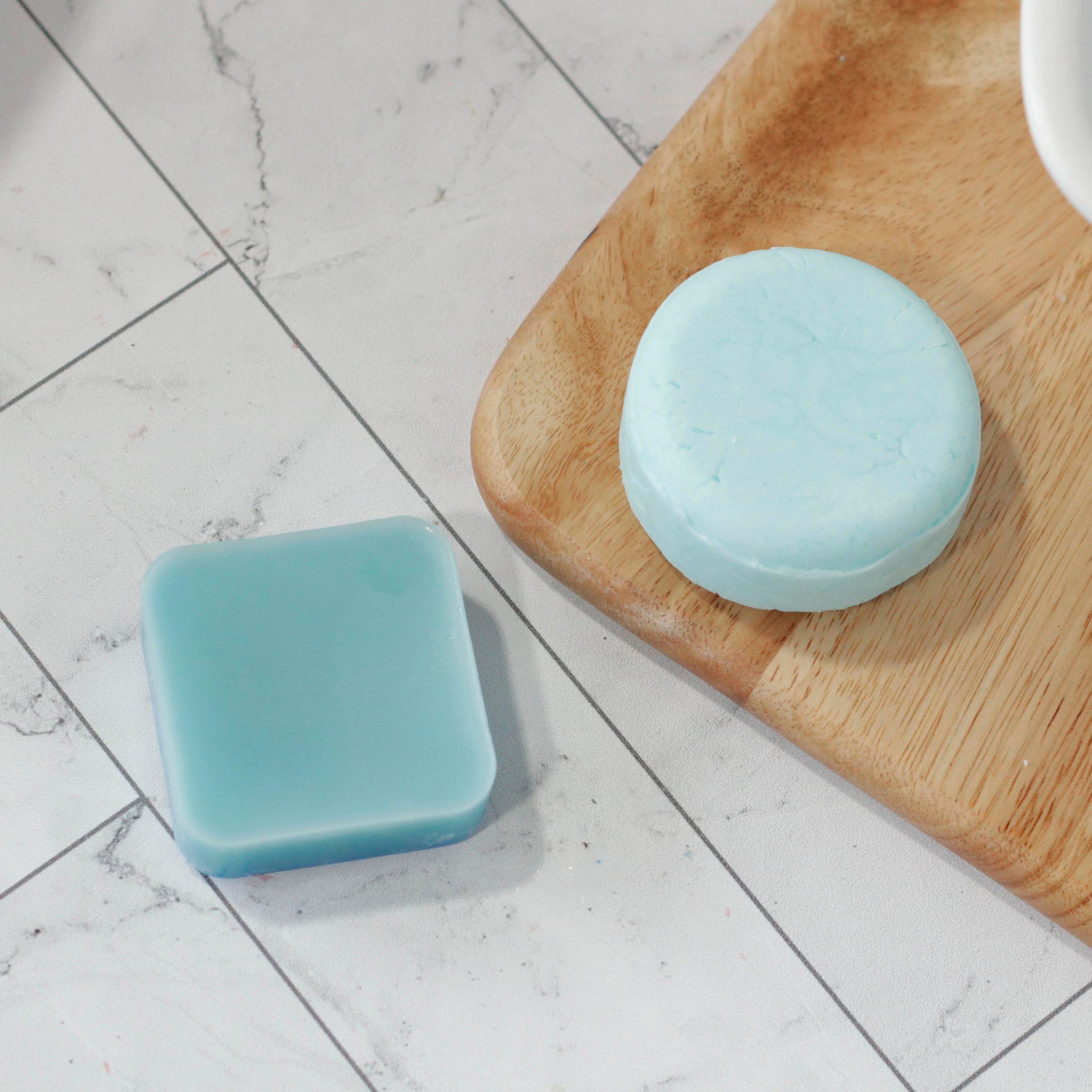 CACTUS BLOOM SOLID CONDITIONER Moss + Pearl Soap Company