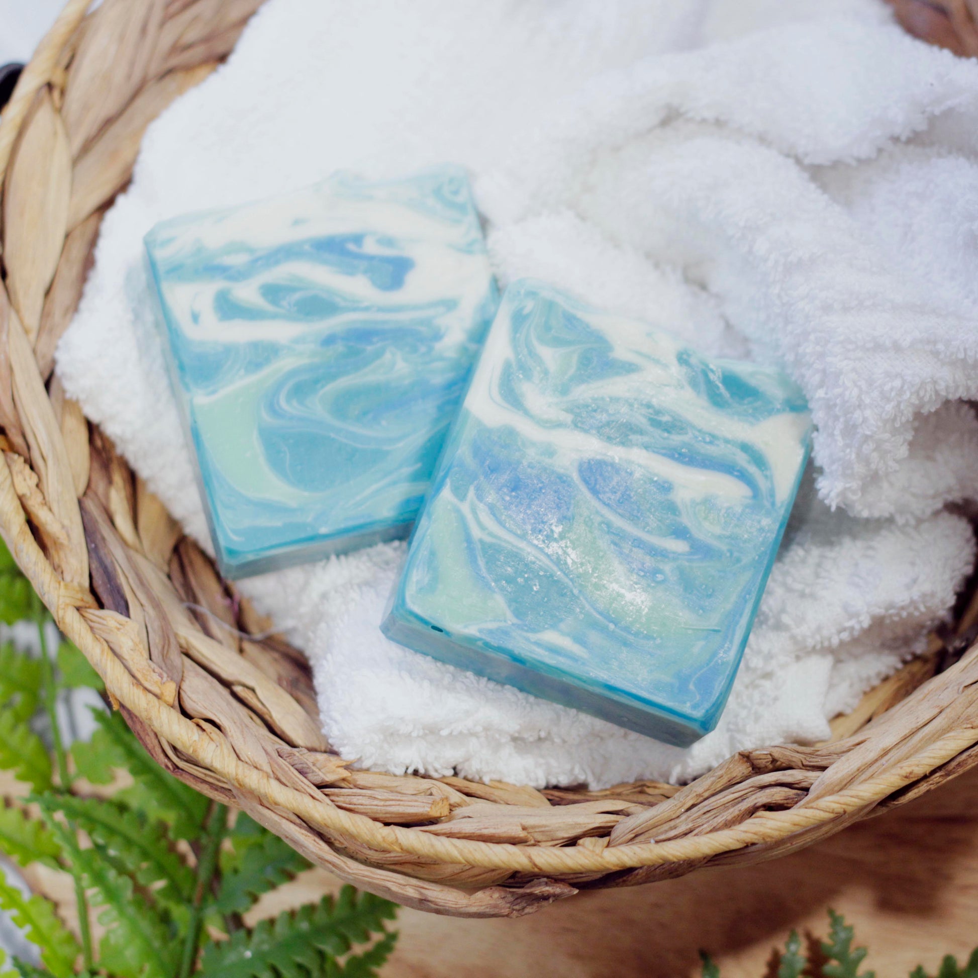 GINGER LIME FACE BAR Moss + Pearl Soap Company